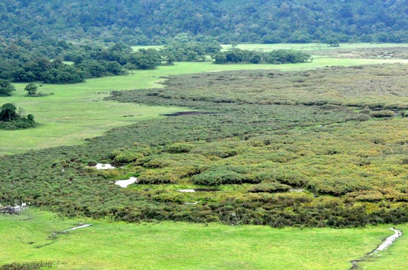 Ngurdoto Crater Tanzania