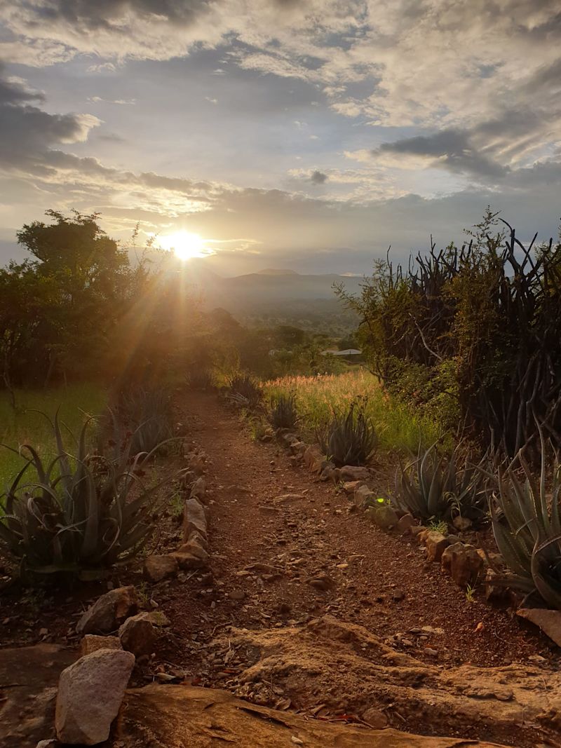 Path to Kidepo Savannah Lodge