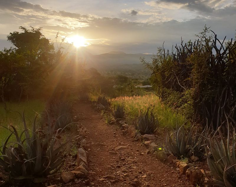 Path to Kidepo Savannah Lodge