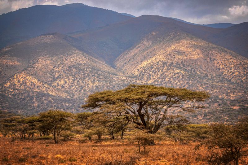 Ngorongoro Conservation Area landscape