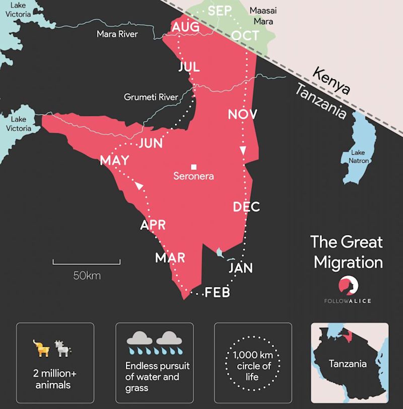 Map of Great Wildlife Migration Serengeti National Park Tanzania