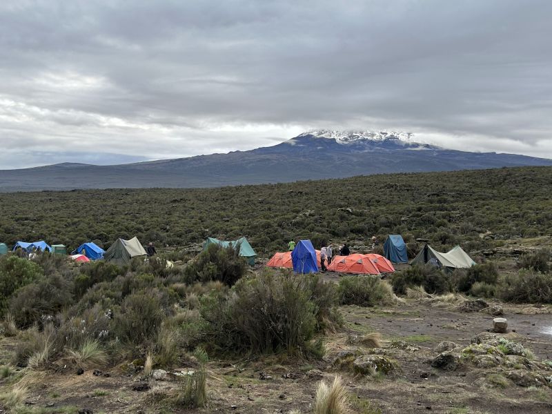 Romy. Campsite on Shira Plateau with Uhuru Peak in background 