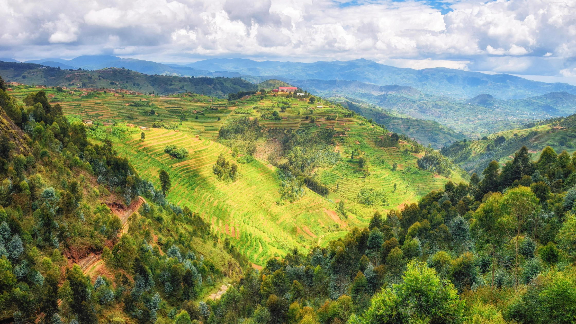 View of Rwanda