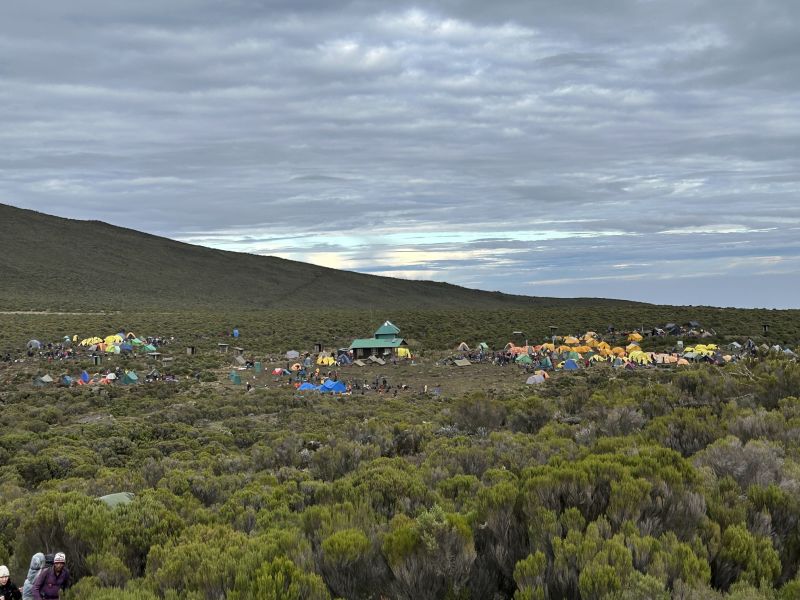Shira 1 Camp on moorland of Kilimanjaro 