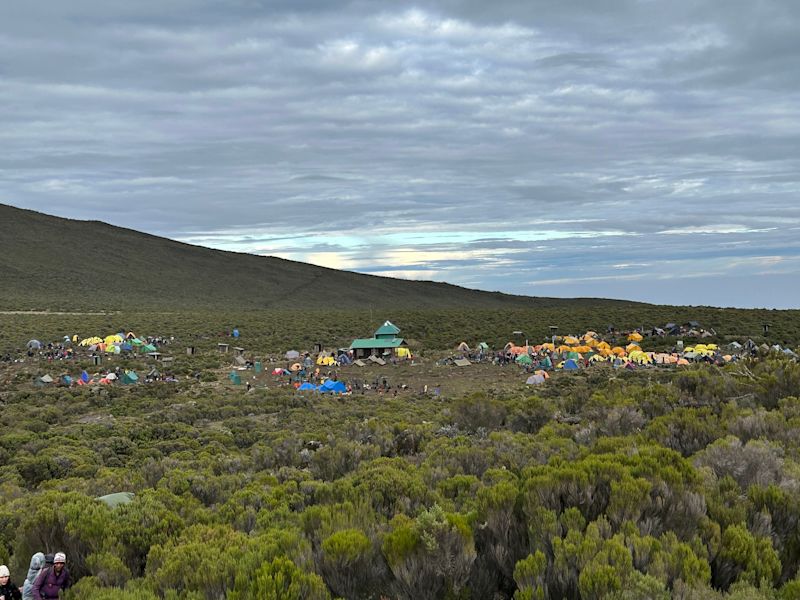 Shira 1 Camp on moorland of Kilimanjaro