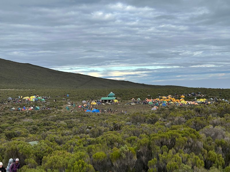 Shira 1 Camp on moorland of Kilimanjaro 