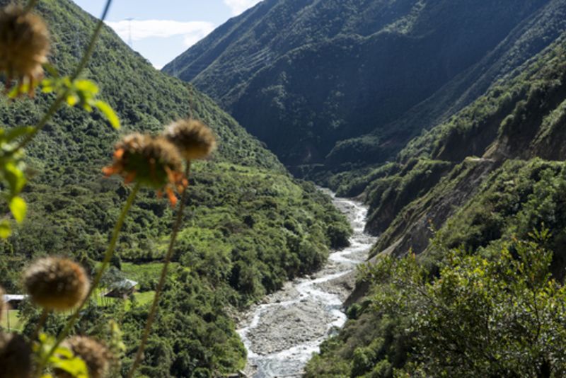 Pretty view of green valley and river with flowers in foreground on Salkantay Trek to Machu Picchu (1)