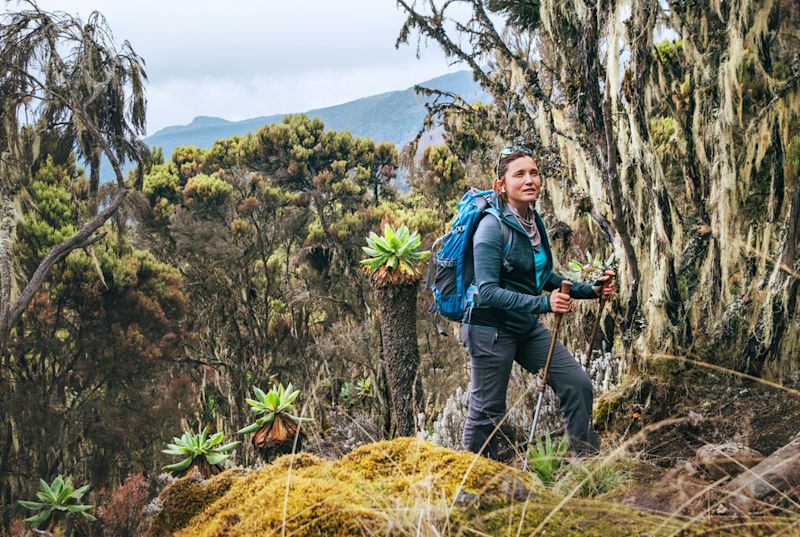 Female hiker in moorland of Umbwe route, Kilimanjaro