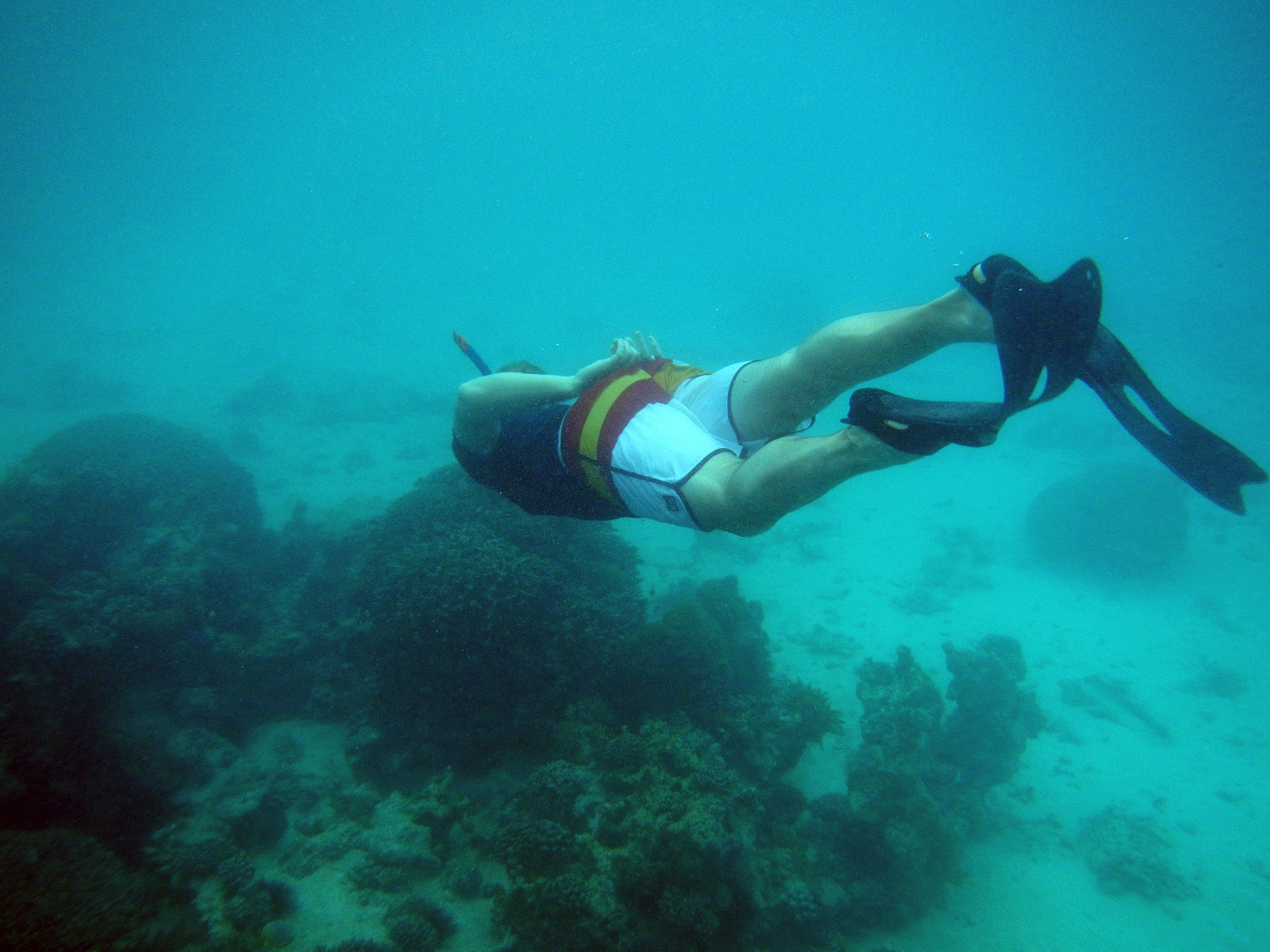 Snorkeller Corals underwater during snorkeling on Zanzibar, Tanzania