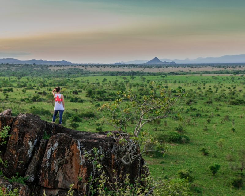 Hiker overlooking green landscape of Kidepo Valley NP, Uganda, walking safari