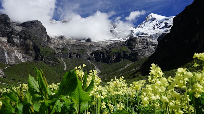 Pur. View of Jomolhari in spring with flowers, Bhutan