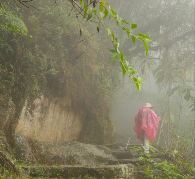 A hiker in a red poncho walking in the mist and wet conditions on the Inca trail near the Puyupatamarca archaeological site, Peru