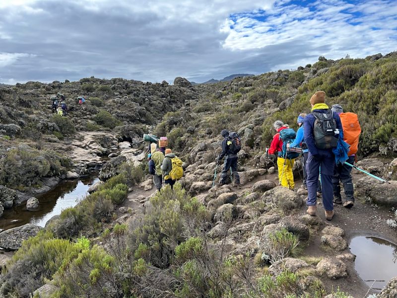 Trekkers on the Lemosho route Day 3 in moorland on Kilimanjaro