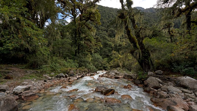 River runs through a valley along Jomolhari/Laya trek, Bhutan