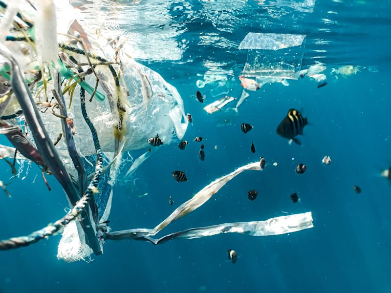 rubbish / trash in the ocean with a fish