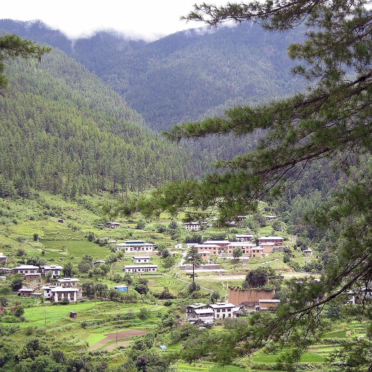 A Bhutanese farming village seen from a distance through the trees