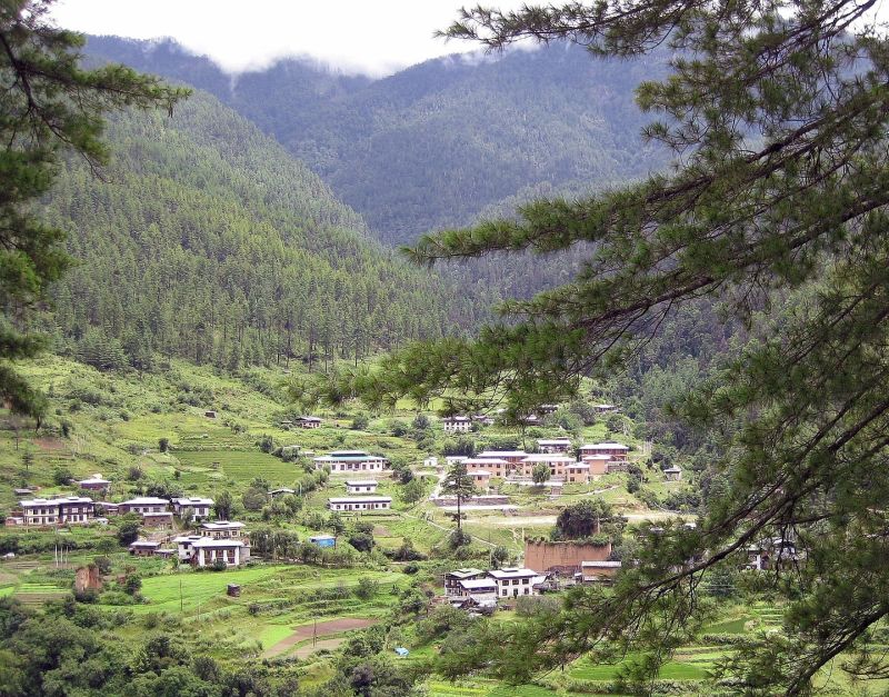 A Bhutanese farming village seen from a distance through the trees