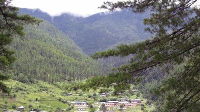 A Bhutanese farming village seen from a distance through the trees