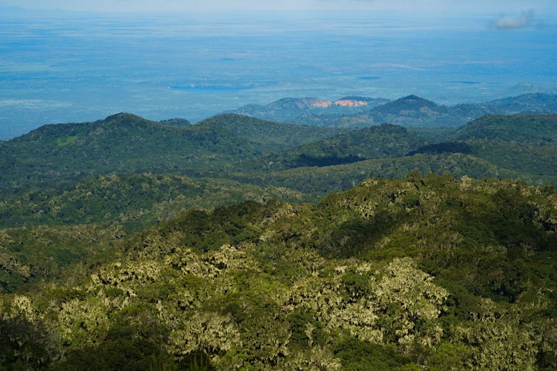 View from Maundi Crater north into Kenya, Mt Kilimanjaro in Tanzania