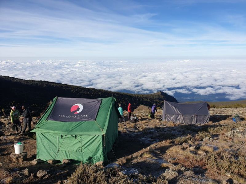 tent Kilimanjarpo camp