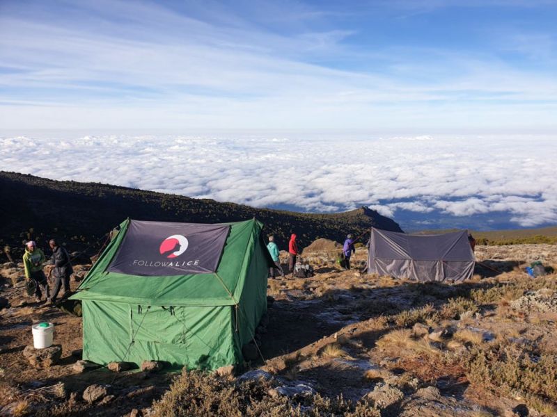 Follow Alice high above the clouds on Mt Kilimanjaro