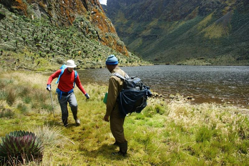 Rwenzori Mountains hiking Uganda