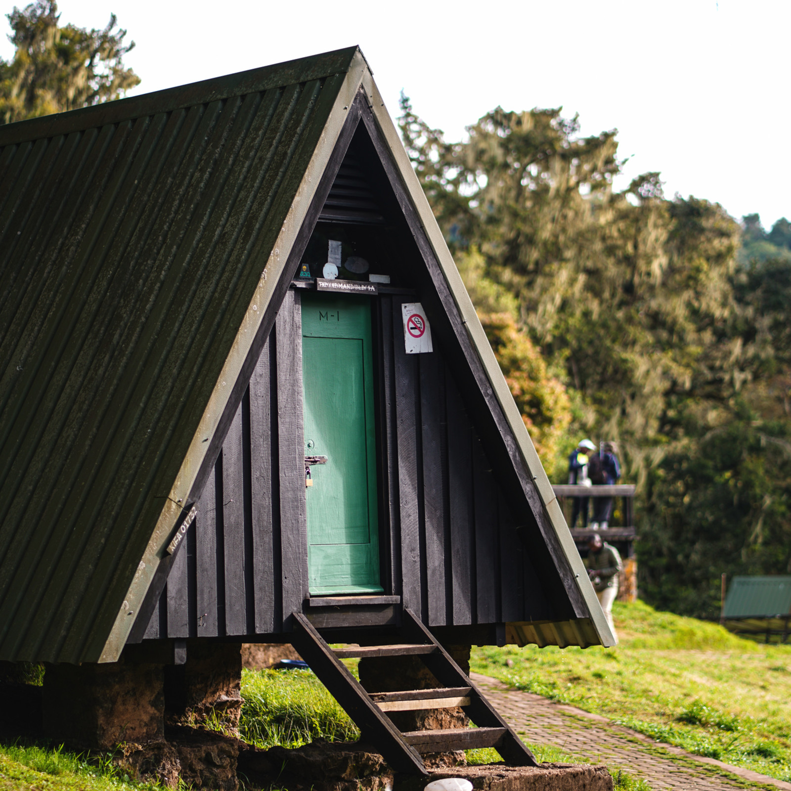 Mandara Huts: A Comfortable Stop On Kilimanjaro Mandara Huts: A Comfortable Stop on Kilimanjaro - gmedia