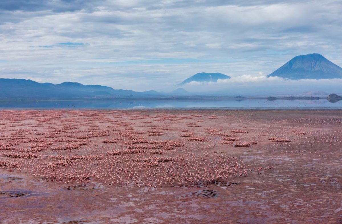 Lake Natron Tanzania s Beautiful And Deadly Red Lake lake-natron-tanzania-s-beautiful-and-deadly-red-lake