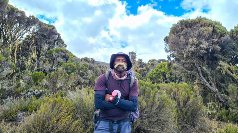 Fun pic of a Follow Alice guide in moorland of Kilimanjaro with moss hanging from upper lip like a moustache