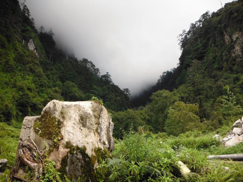 A misty monsoon day within a lushly green valley on the lower Annapurna Circuit