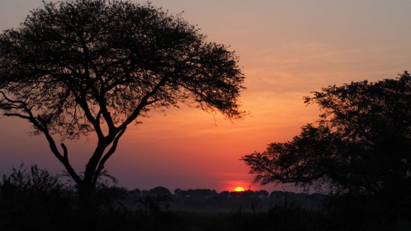 Beautiful sunset on safari in Murchison Falls Uganda