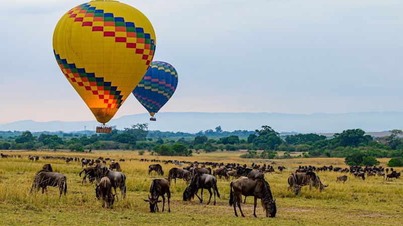 Balloon safari in Maasai Mara, Kenya with wildebeests of Great Migration beneath.