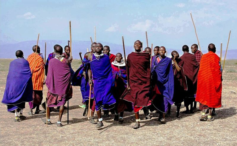 Maasai warriors