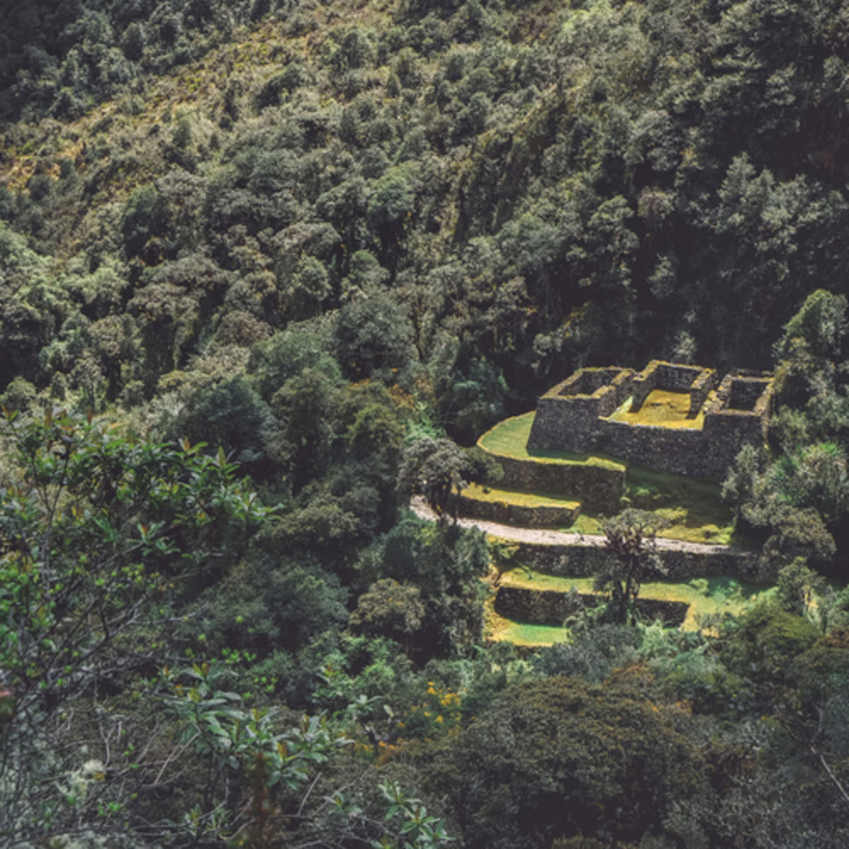 Ruins in forest as seen from Inca Trail, Peru 