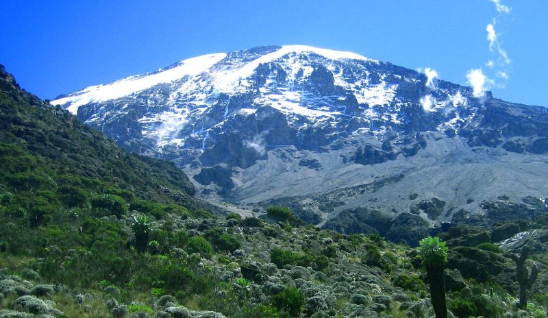 Kilimanjaro peak as seen from moorland zone