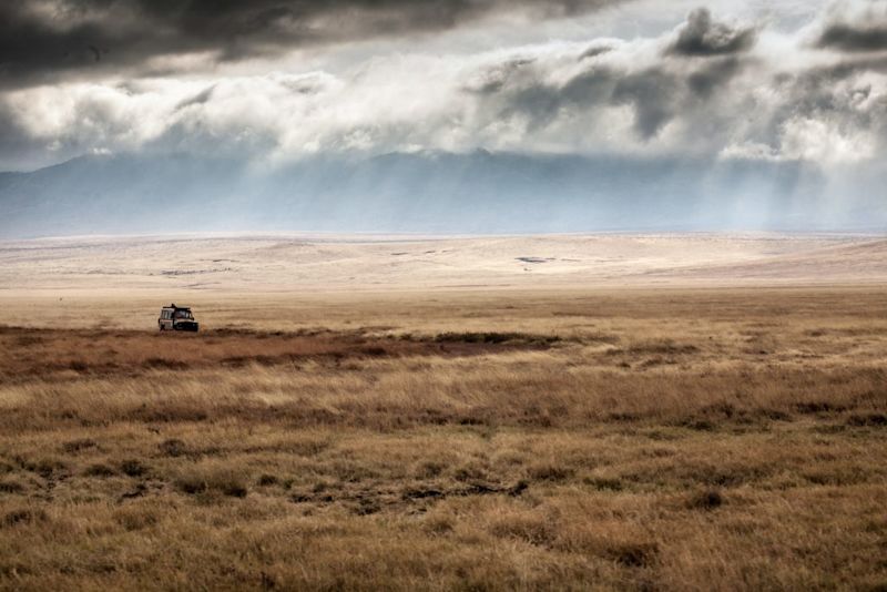 safari-drive-ngorongoro-African-safari-Tanzania-1024x683.jpg