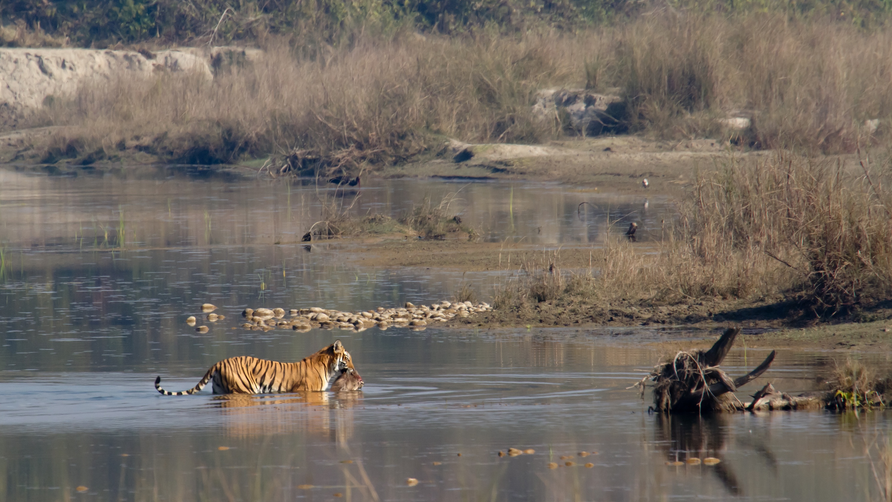 Chitwan National Park