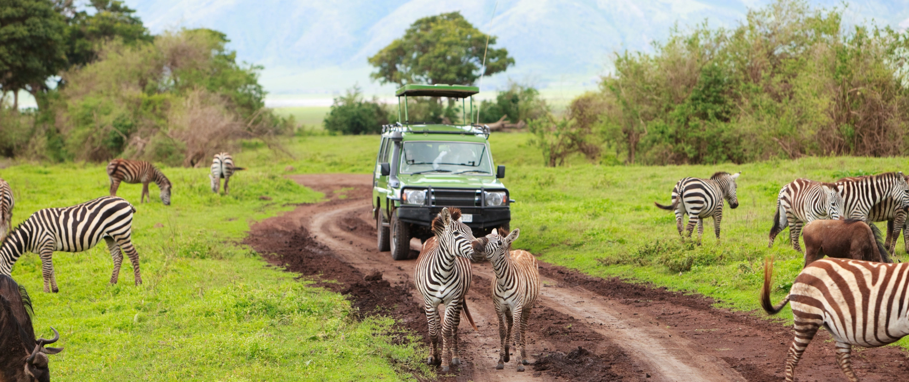 Game drive