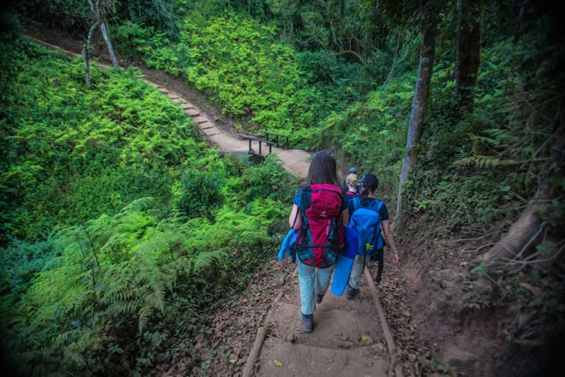 Kilimanjaro forest trek route