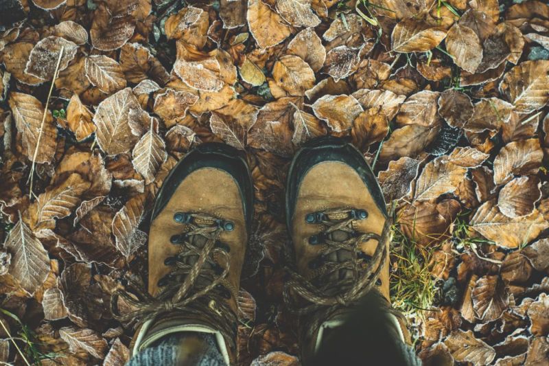 Hiking boots and leaves