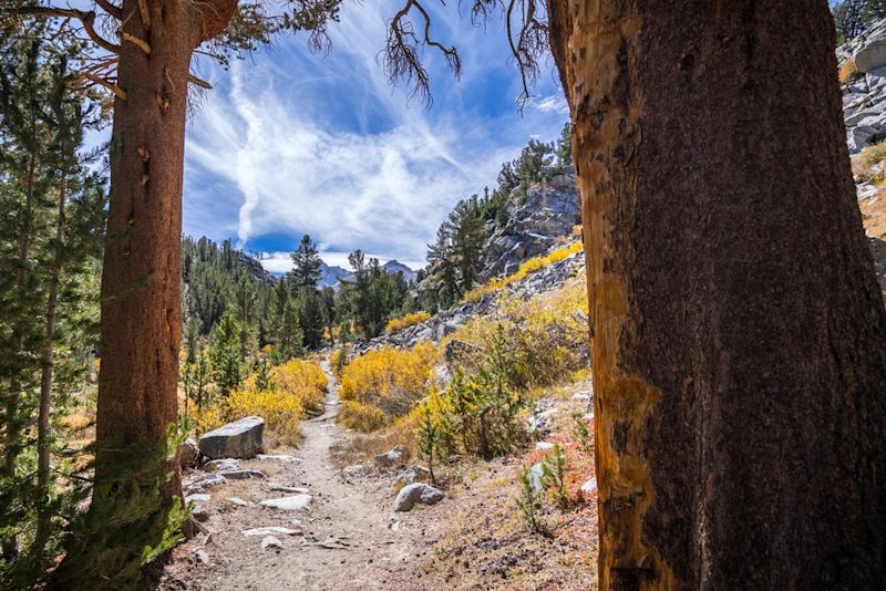 Hiking trail in the John Muir Wilderness, Eastern Sierra mountains, California