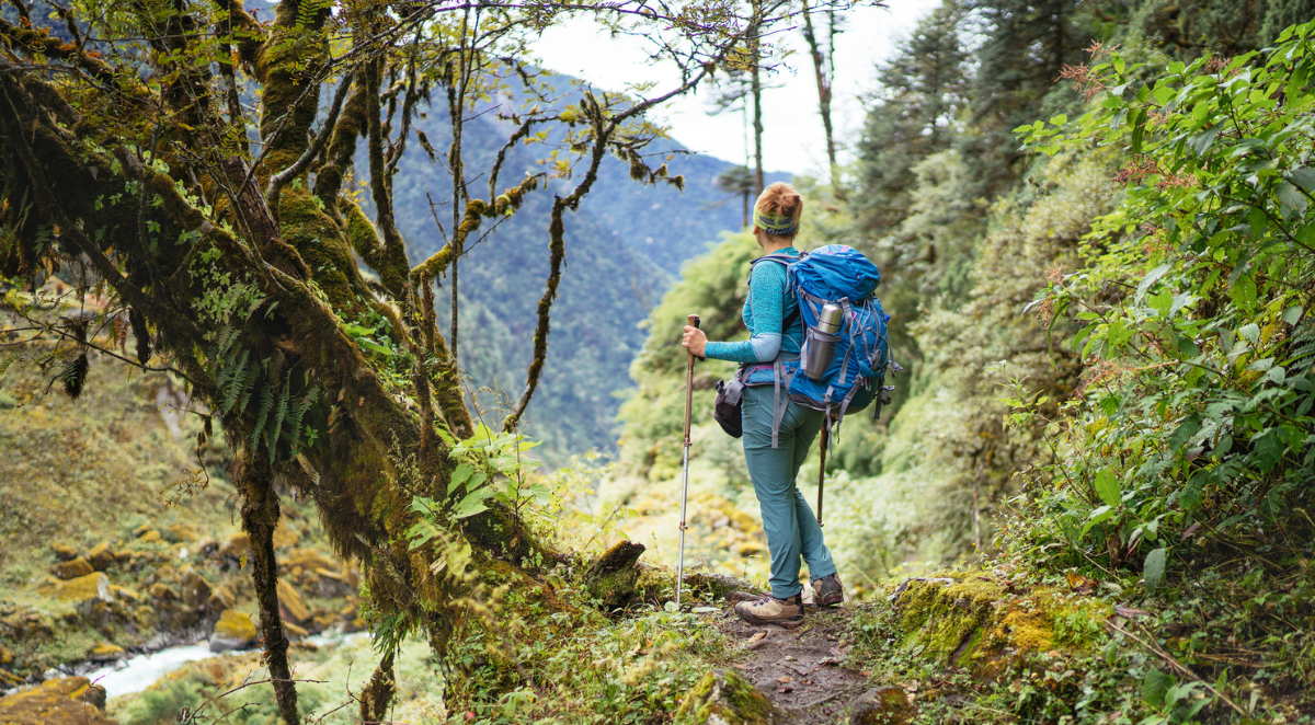 Young female with backpack and poles trekking walking Mera Peak climbing route through jungle rain forest in Makalu Barun National Park, Nepal