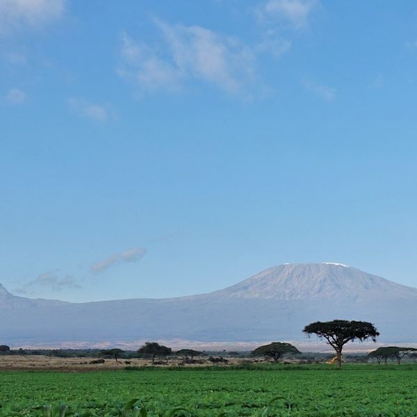 Profile of Mount Kilimanjaro from a distance