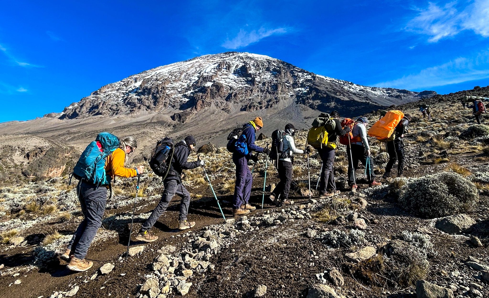 Trekkers on Mount Kilimanjaro