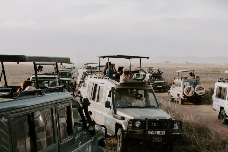 safari vehicles Serengeti