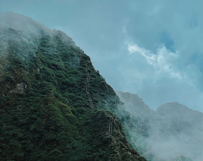 Sabyinyo hike in misty Virunga Mountains, Mgahinga Gorilla NP, Uganda