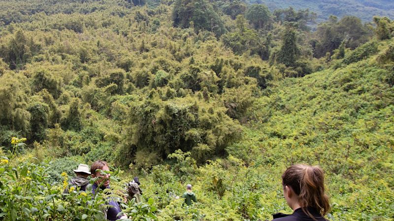 View of the mountain peaks in Volcanoes National Park, Rwanda