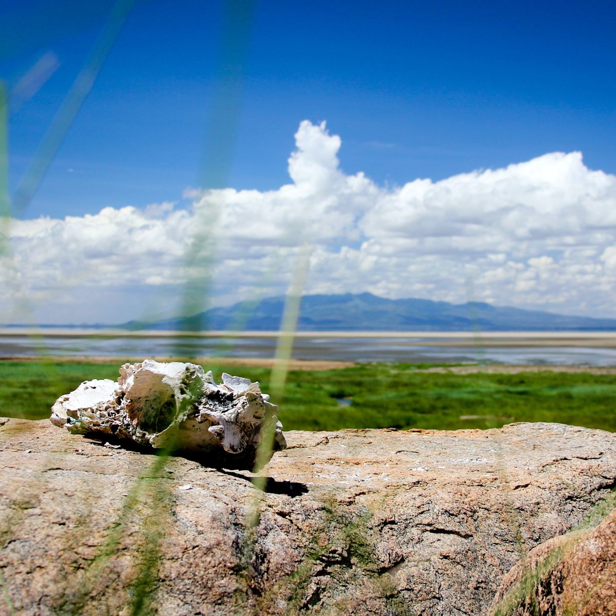 Lake Manyara 