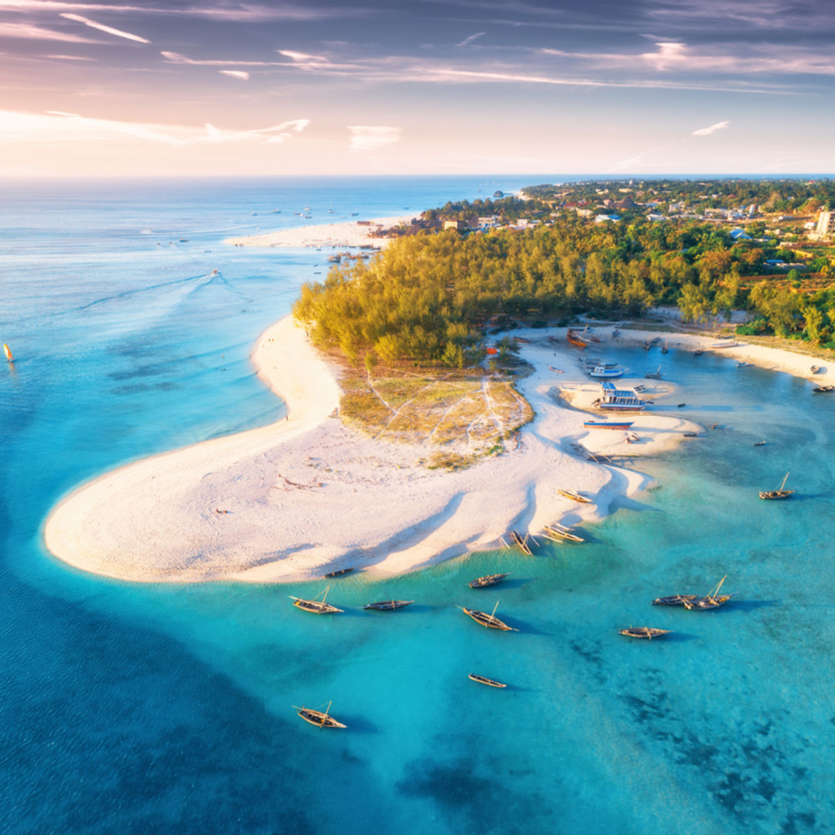 Aerial view of the fishing boats and coastline of Zanzibar, Tanzania