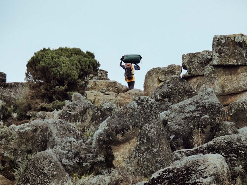 Porter walking up Kilimanjaro route